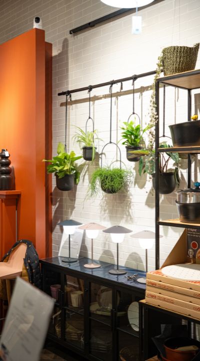 Sélection de luminaires design et plantes décoratives murales dans la boutique Déco Pure à Châteaugiron
